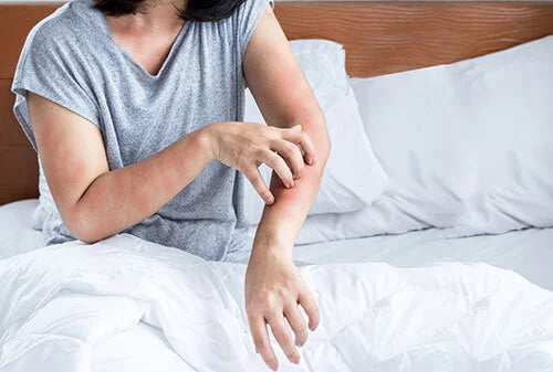 Un refugio seguro contra alérgenos en Almohada Blend