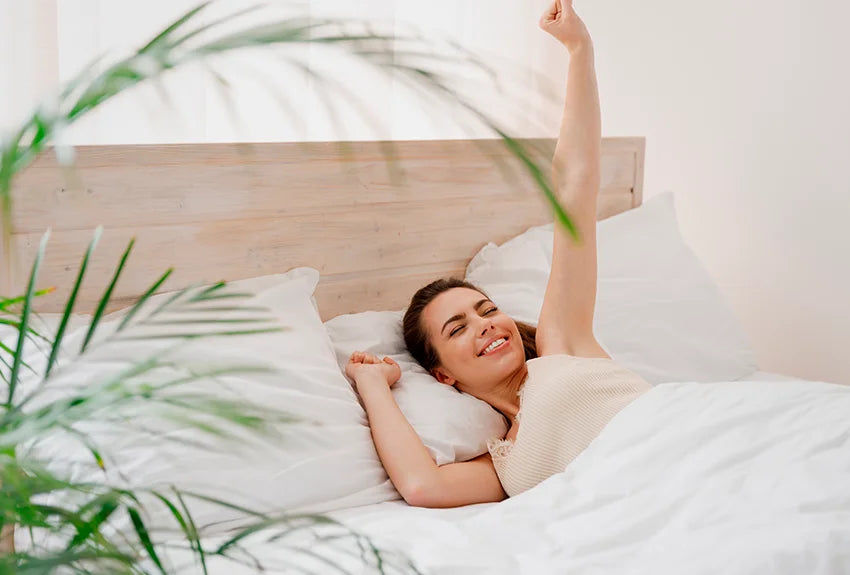 Frescura y termorregulación en Fundas de Almohada Blend