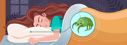 Todo lo que (no) querías saber de los ácaros que viven en tu almohada
