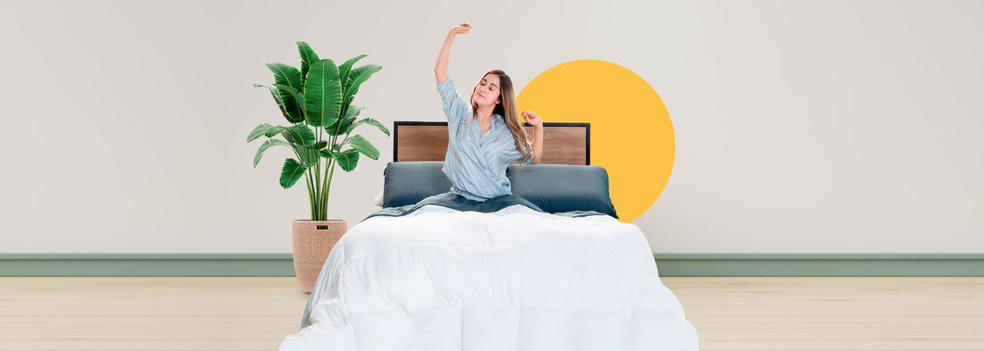 qué es un duvet
