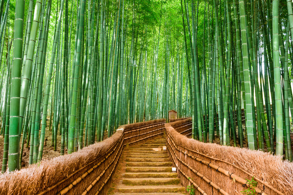 Beneficios de la telas de bambú