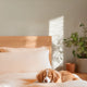 Fundas de Almohada Blend - Smart Bamboo 