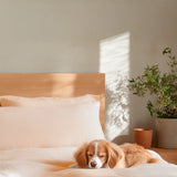 Fundas de Almohada 100% Bamboo - Smart Bamboo