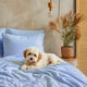 Fundas de Almohada Blend - Smart Bamboo 