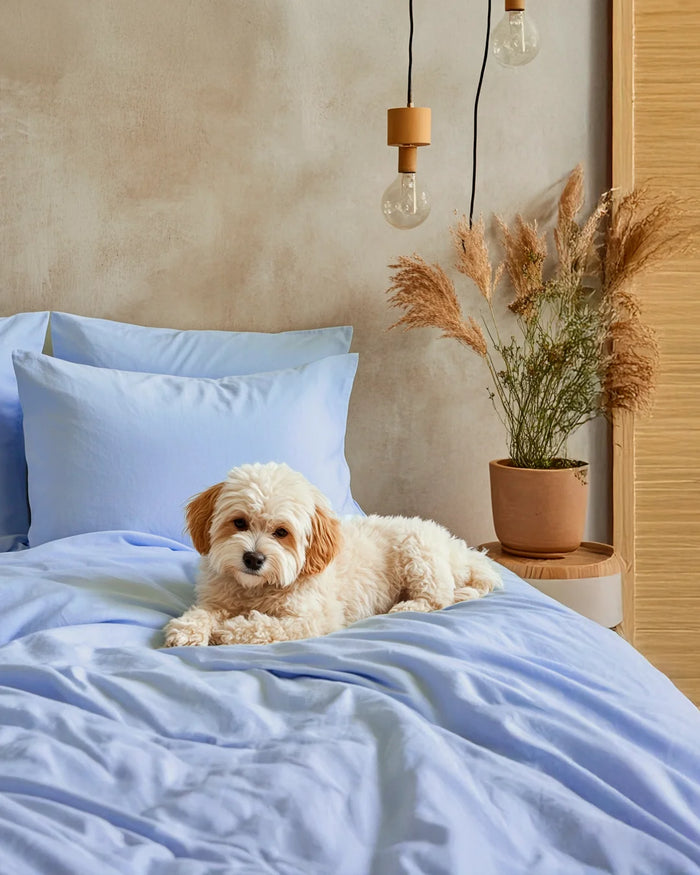 Fundas de Almohada Blend - Smart Bamboo 