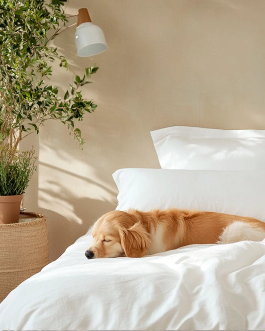 Fundas de Almohada Blend - Smart Bamboo 