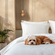 Fundas de Almohada 100% Bamboo - Smart Bamboo 