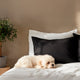 Fundas de Almohada Blend - Smart Bamboo 