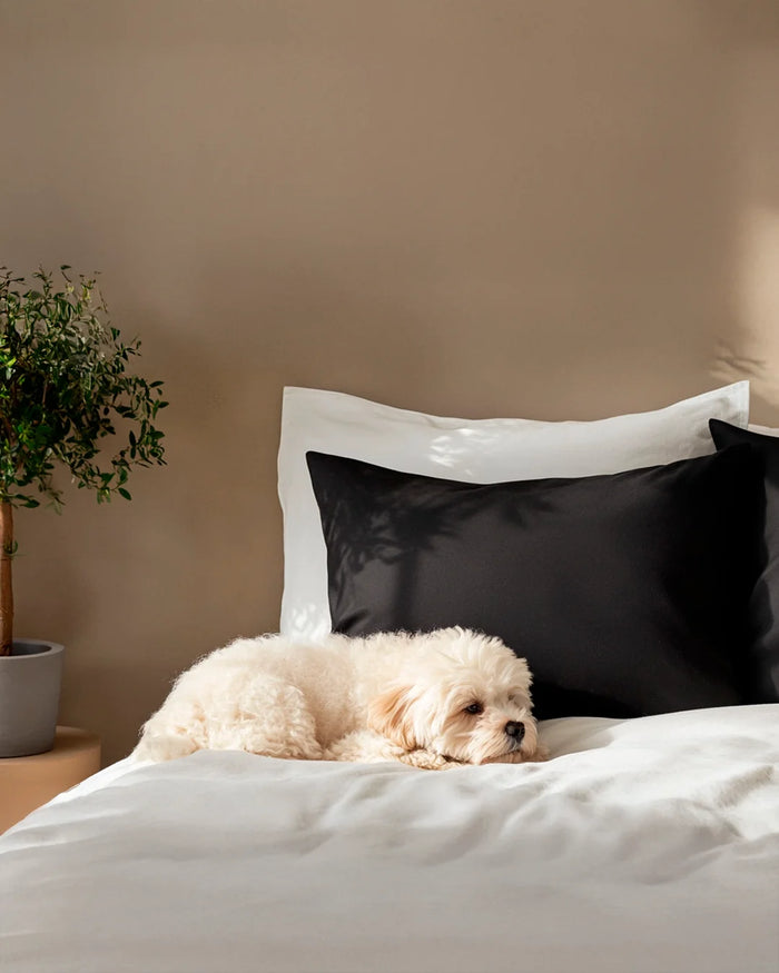 Fundas de Almohada 100% Bamboo - Smart Bamboo