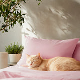 Fundas de Almohada 100% Bamboo - Smart Bamboo