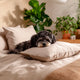 Fundas de Almohada 100% Bamboo - Smart Bamboo