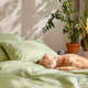 Fundas de Almohada Blend - Smart Bamboo 