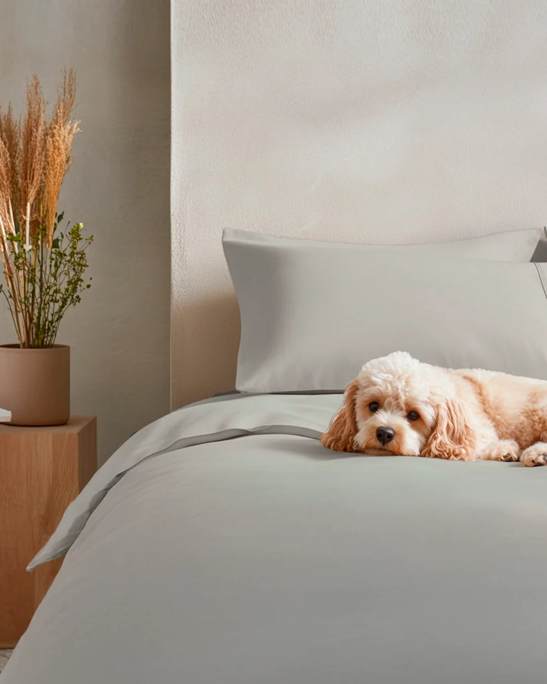 Fundas de Almohada Blend - Smart Bamboo 