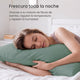 Fundas de Almohada Blend
